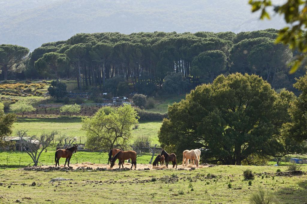 Tambor Del Llano Villa Grazalema Bagian luar foto